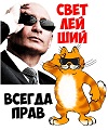 Аватара пользователя